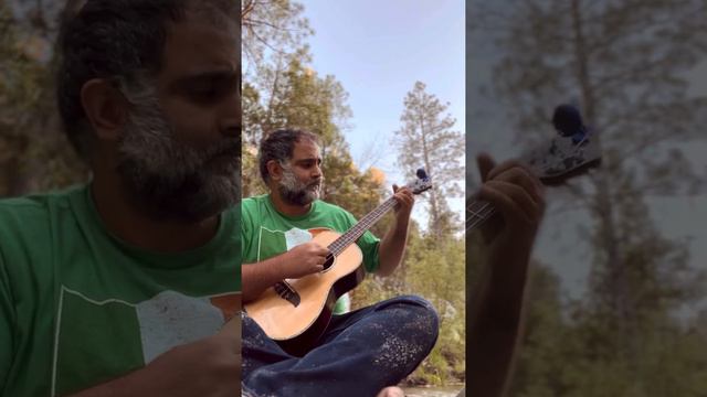 Wild Mountain Thyme & Bach’s Unaccompanied Cello Prelude смотреть онлайн