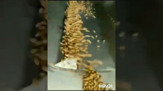 Видео с производства смотреть онлайн