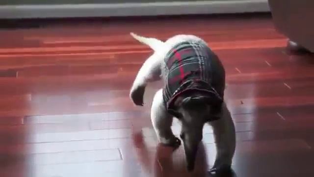 Когда трогают твой мотоцикл!!! смотреть онлайн