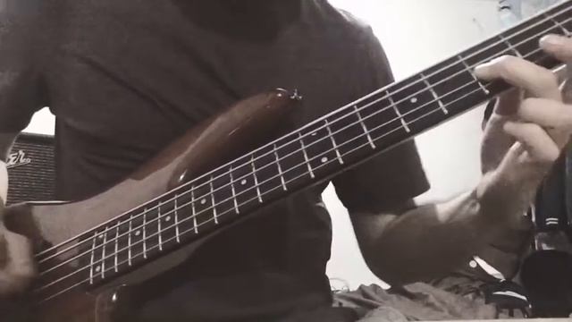 Carousel intro - Blink (Ibanez sgr-255 wn, amplificador rumble 100 fender)) смотреть онлайн