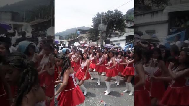 Banda colegio arevalo Martínez jornada matutina y despertina смотреть онлайн