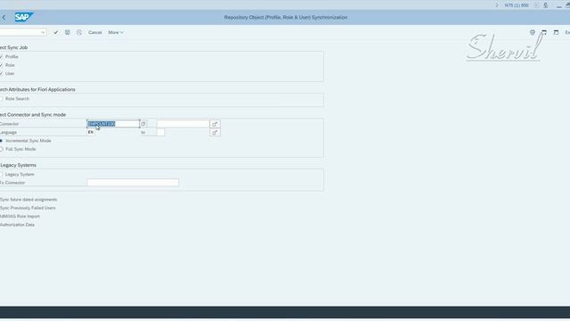 8. SAP GRC - EAM - Repository Sync Job смотреть онлайн