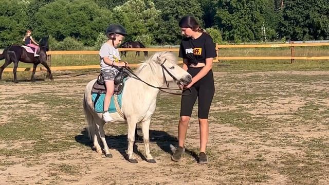 Лошади, пони. Верхом на лошадке смотреть онлайн