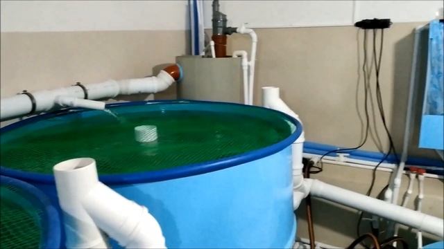 Обзор работы Установки Замкнутого Водоснабжения(мальковый цех) пока без барабанного фильтра! смотреть онлайн