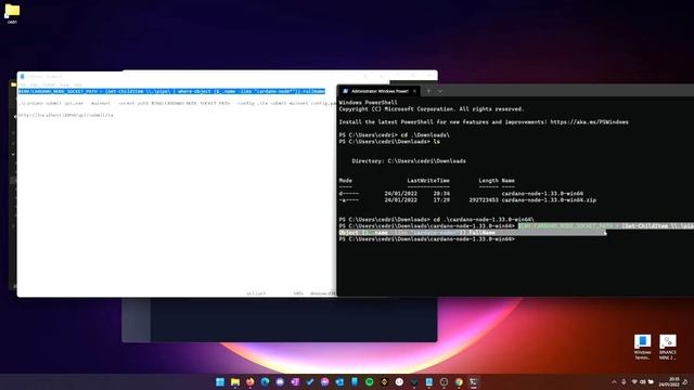 Connecting a Windows Daedalus Node to Nami смотреть онлайн