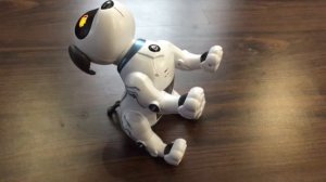 Робот собака Детское видео / how a robot dog dances