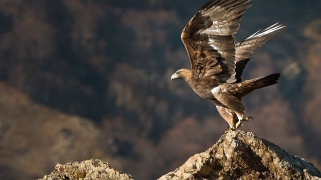 Вершины гор. Христианская песня под гитару. смотреть онлайн