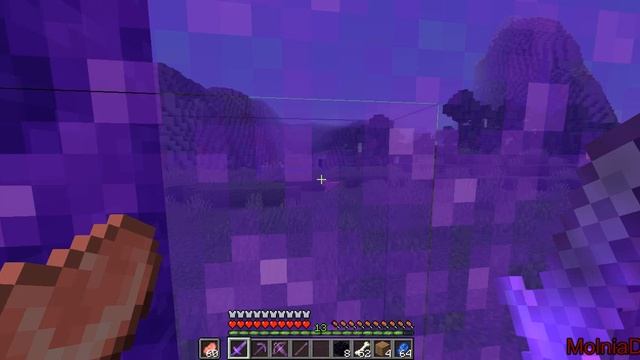 ВЫЖЫВАНИЕ В МАЙНКРАФТ 1.16.4 НЕЗЭРИТ ВСЁ НОВОЕ ТЕКСТУРЫ!!! смотреть онлайн