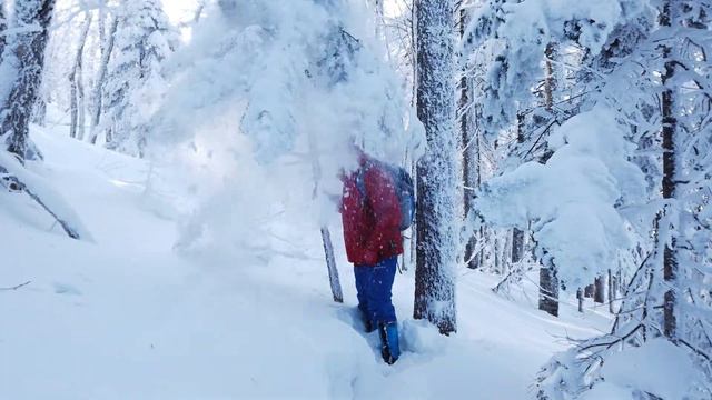 Зимний Голец красавец смотреть онлайн