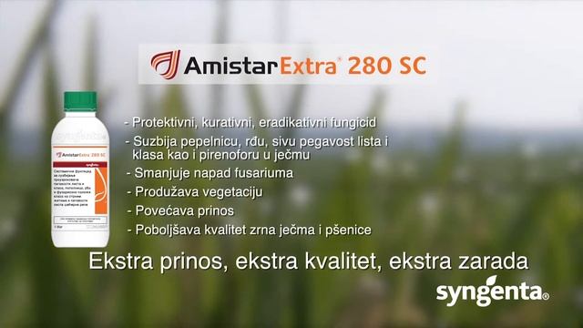 Syngenta fungicidi – Amistar extra® 280 SC 443 смотреть онлайн