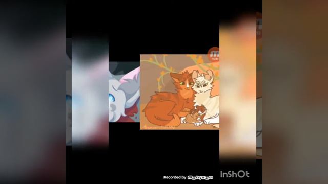 Красивые арты по котам воителям #2 смотреть онлайн