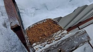 Выдавливает столбы у забора (часть1)