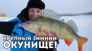 Ловля КРУПНОГО окуня зимой! Испытание зимних костюмов Аляскан и Новатур в Сибири! Часть 2