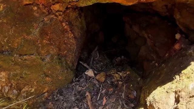 I Searched Maps To Find Relics And Gold Metal Detecting смотреть онлайн