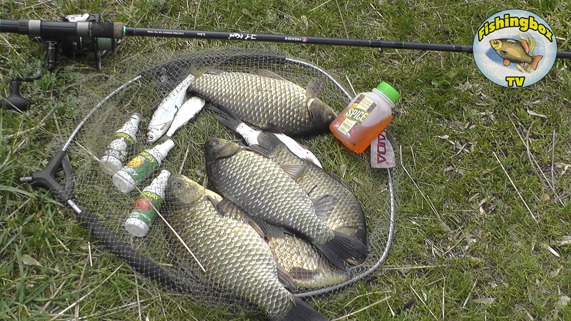 Ловля крупного карася на фидер весной смотреть онлайн