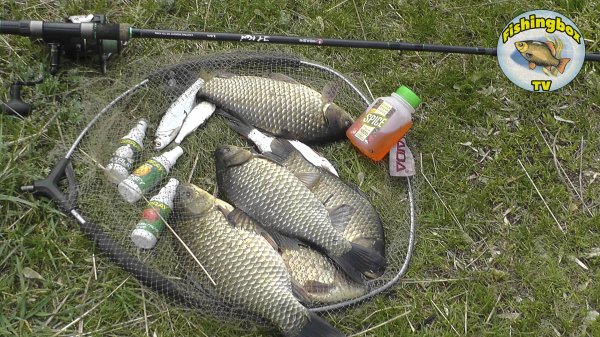 Ловля крупного карася на фидер весной