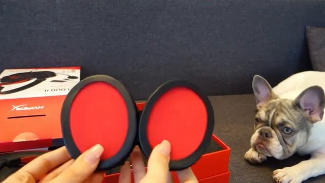 Dog Unboxing - HyperX Cloud 2 Headset QuadCast Best Gaming Headset ASMR смотреть онлайн