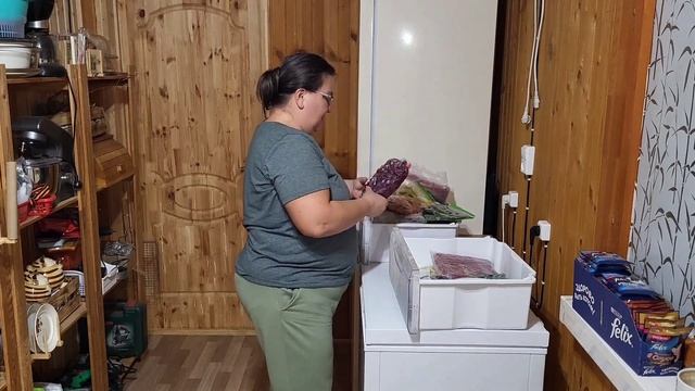 Что припасено к зиме/ Пришло время погрузиться в недра морозилок/ ОДНА В ДЕРЕВНЕ??♀️ смотреть онлайн