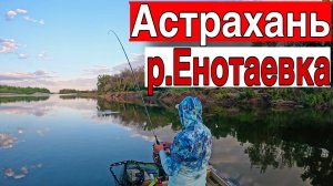 Рыбалка в Астрахани СУДАКИ ЛОВЯТСЯ НА РЕЗИНУ Рыбалка на спиннинг летом