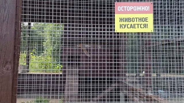 Парк Птиц в Обнинске июль 2020 смотреть онлайн