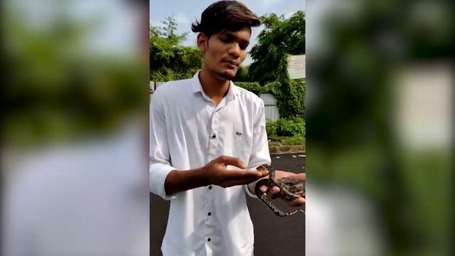 Baby Rock Python Info By Kshitij Jadhav | First Video on Youtube смотреть онлайн