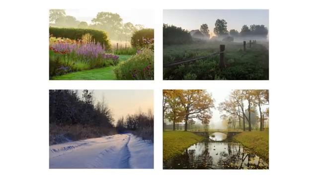 Цвет в дизайне экстерьера. смотреть онлайн