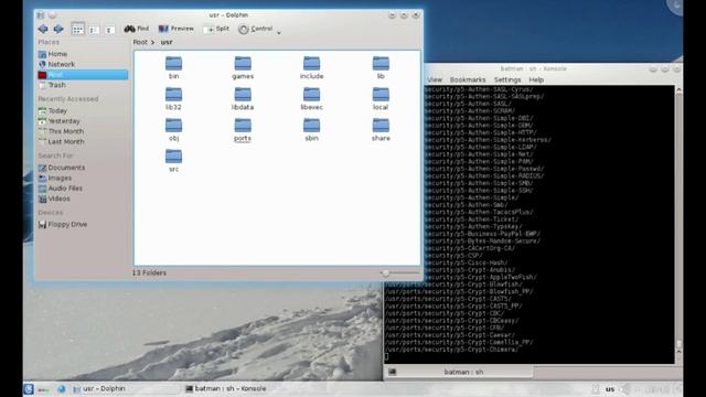Поговорим о  Freebsd,Ставим софт из портов, вспоминаем прыщи