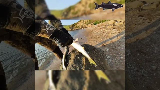 Viktor LYAGUN подводная охота Керчь смотреть онлайн