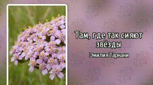 Там, где так сияют звёзды (+)