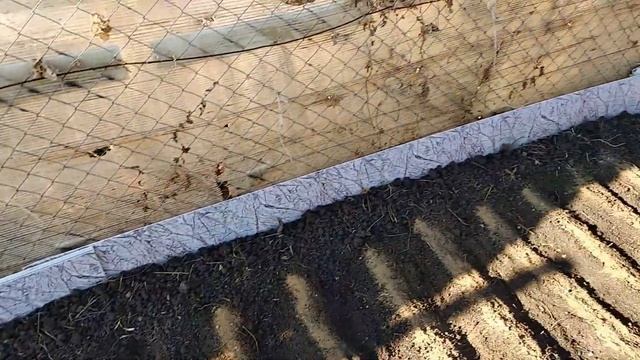 Осень, уборка в саду .. Посев моркови под зиму.. смотреть онлайн