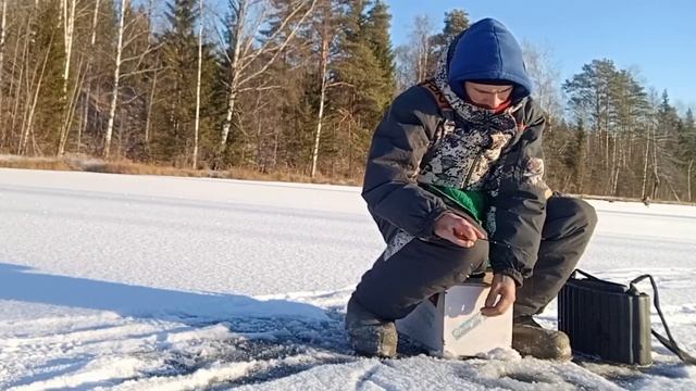 Рыболовы покоряют ПЕРВЫЙ ЛЁД! Сказочная погода и слабый клёв радуют фанатов рыбалки. смотреть онлайн