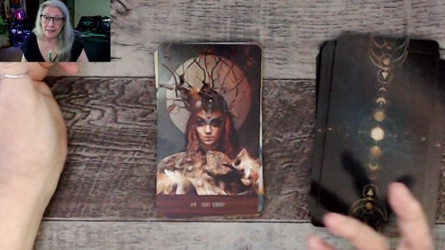 Wild Woman Rising Oracle *GIFT* Unboxing and Test Drive смотреть онлайн