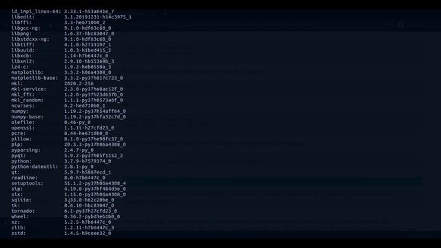 Python | Anaconda | Conda Getting started смотреть онлайн