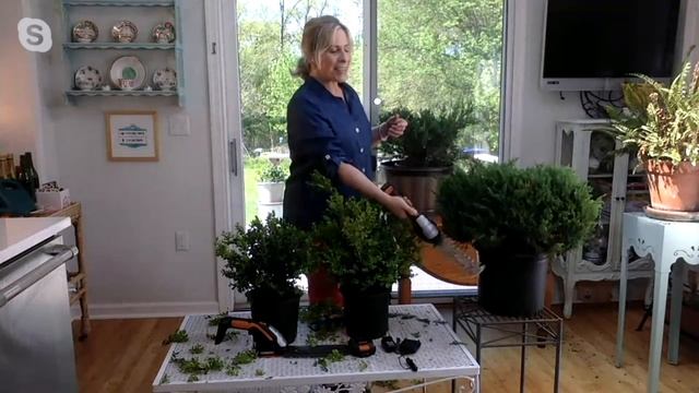 Worx Cordless 20V Shrubber Tool with Battery on QVC смотреть онлайн