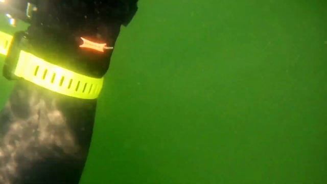 Подводная охота с инструктором по фридайвингу ! Ружья не брать ? смотреть онлайн