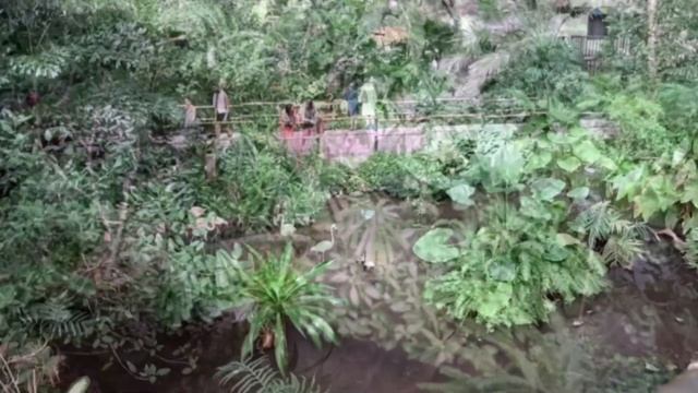 Tropical Islands. Тропики в цетре Европы. Germany. Обзор и полезная информация перед посещением.