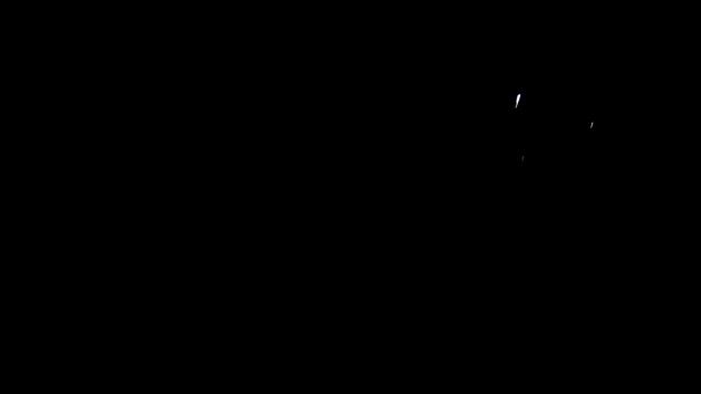 Ушастые совы. Первая встреча. Звуки: беспокойство у гнезда; крики совят смотреть онлайн