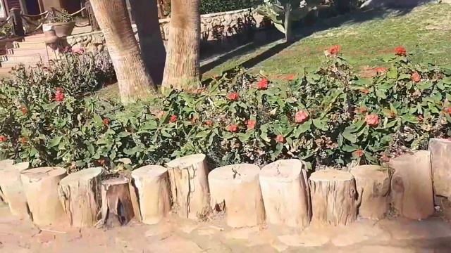 Обзор территории отеля FARAANA Reef 4*. Первое впечатление.