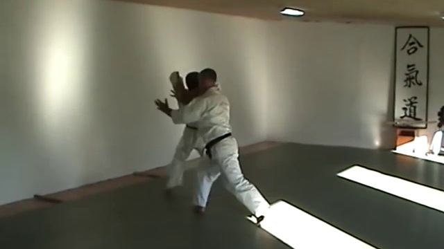 Экзамен на 4 дан Айкидо Йошинкан, Красовский Аркадий смотреть онлайн