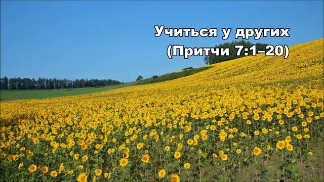 28.08.2015 Мудрость - прекрасная сестра (Притчи 7:1-27) смотреть онлайн