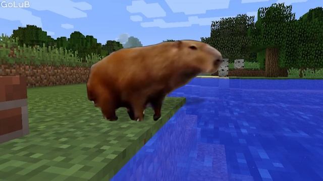 Ok I Pull Up Capybara