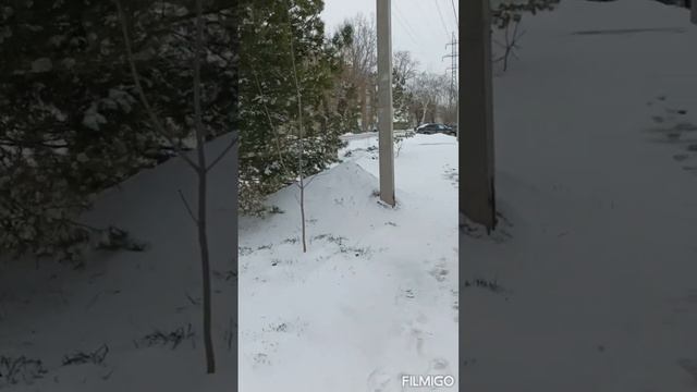 15, АПРЕЛЯ, 2023 ГОД, В ОРЕНБУРГЕ ВЫПАЛ СНЕГ ЗИМА ВЕРНУЛАСЬ ?? смотреть онлайн