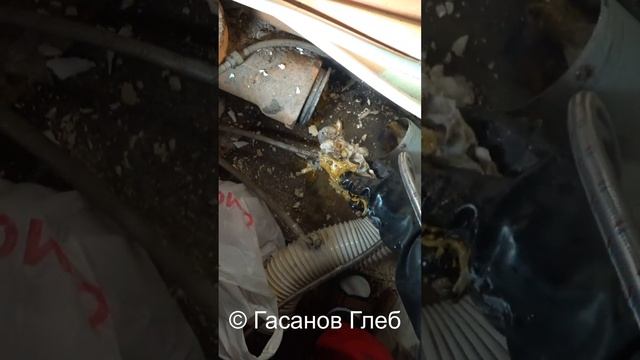 В унитаз упал освежитель смотреть онлайн