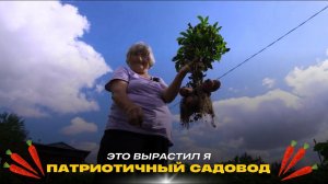 Патриотичный садовод // Это вырастил я! Сезон 2
