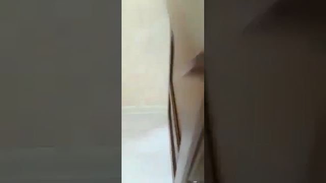 Где вы берете деньги?- Из тумбочки!.. смотреть онлайн