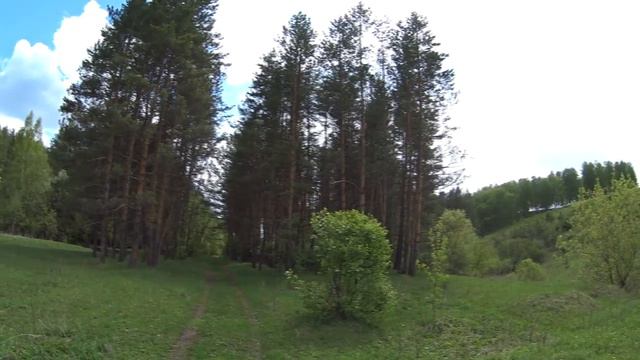 Белебеевский заповедник. Красивая природа города Белебей смотреть онлайн