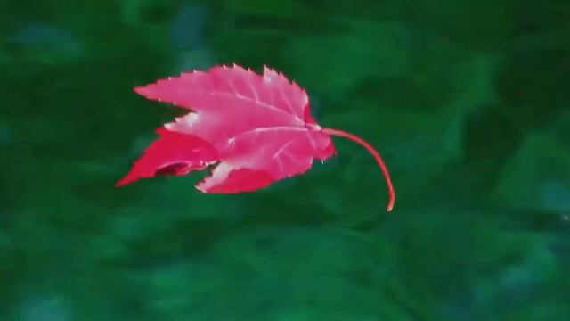 Ludovico Einaudi - Samba смотреть онлайн