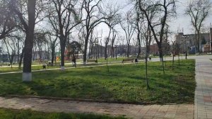 Краснодарский край Красноармейский район ст. Полтавская