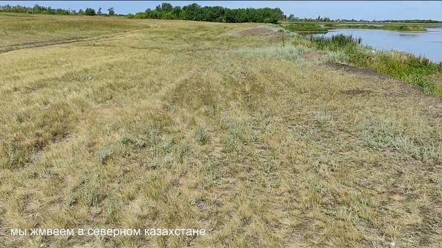 Озеро Сандыколь с.Кирово. смотреть онлайн