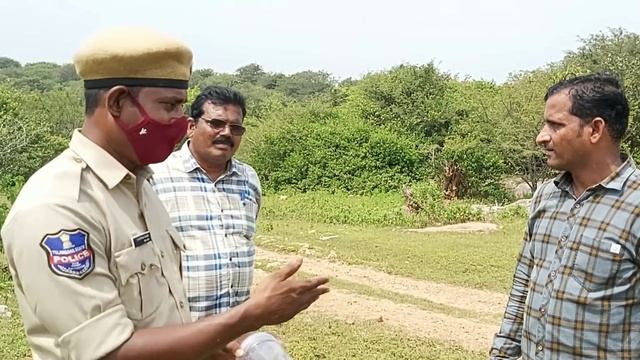 I catch 25 kgs python Sagar snake society 25 కేజీల భారీ కొండచిలువలు పట్టివేత смотреть онлайн